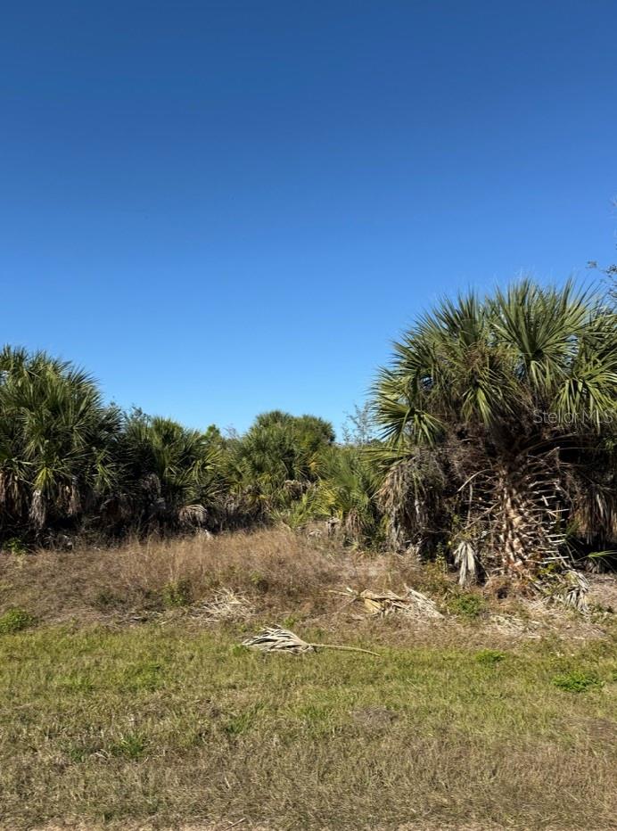 15401 HENNIPEN CIR Property Photo 1