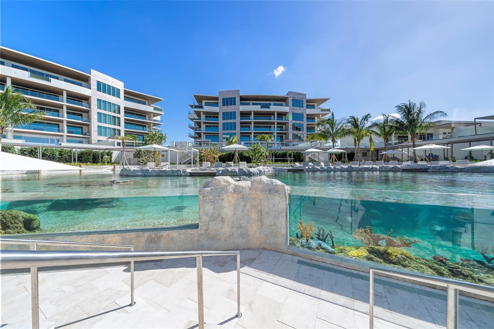 1591 Gulf Of Mexico Dr #410 Property Photo 39