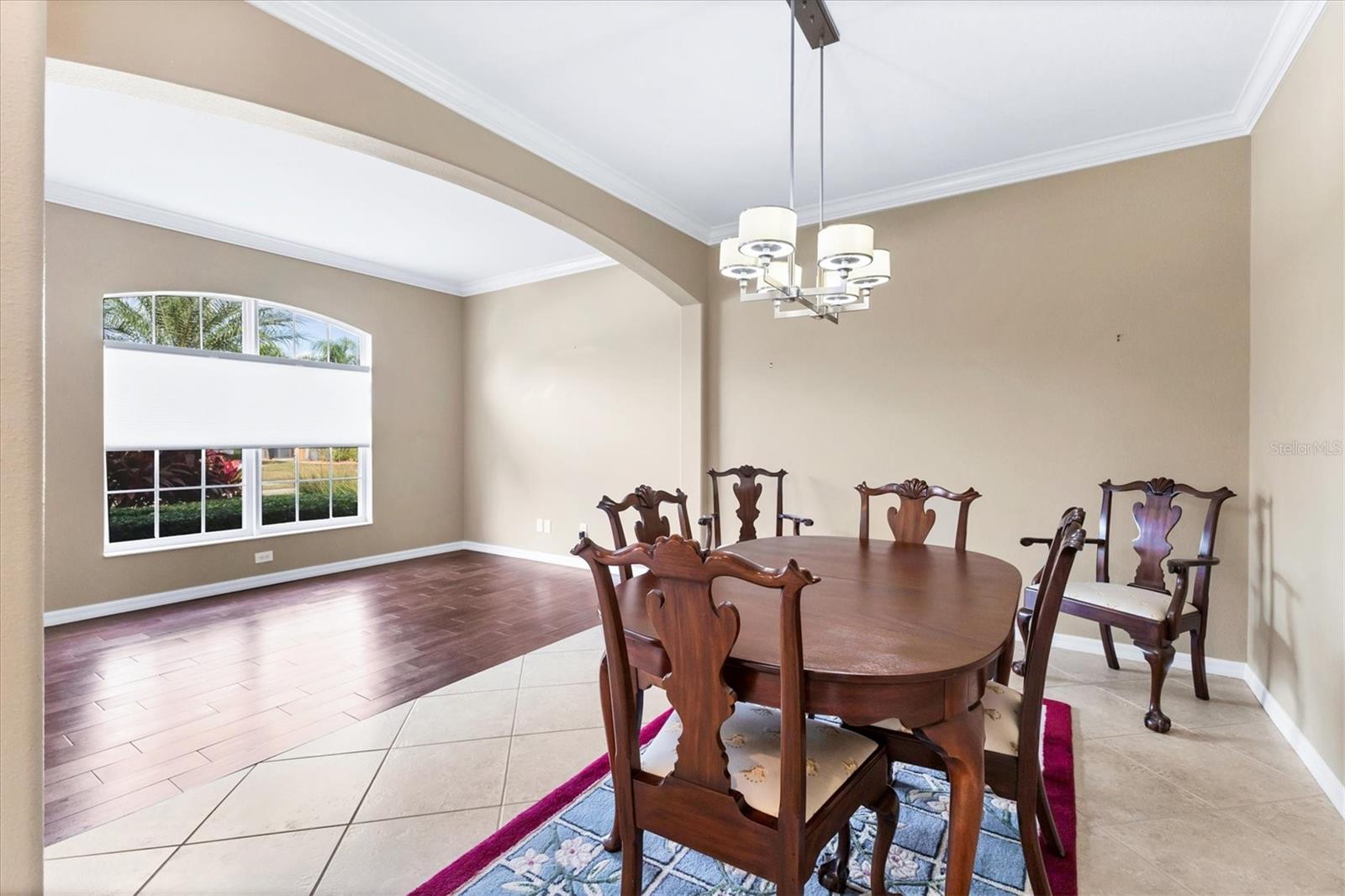 6163 Palomino Cir Property Photo 13