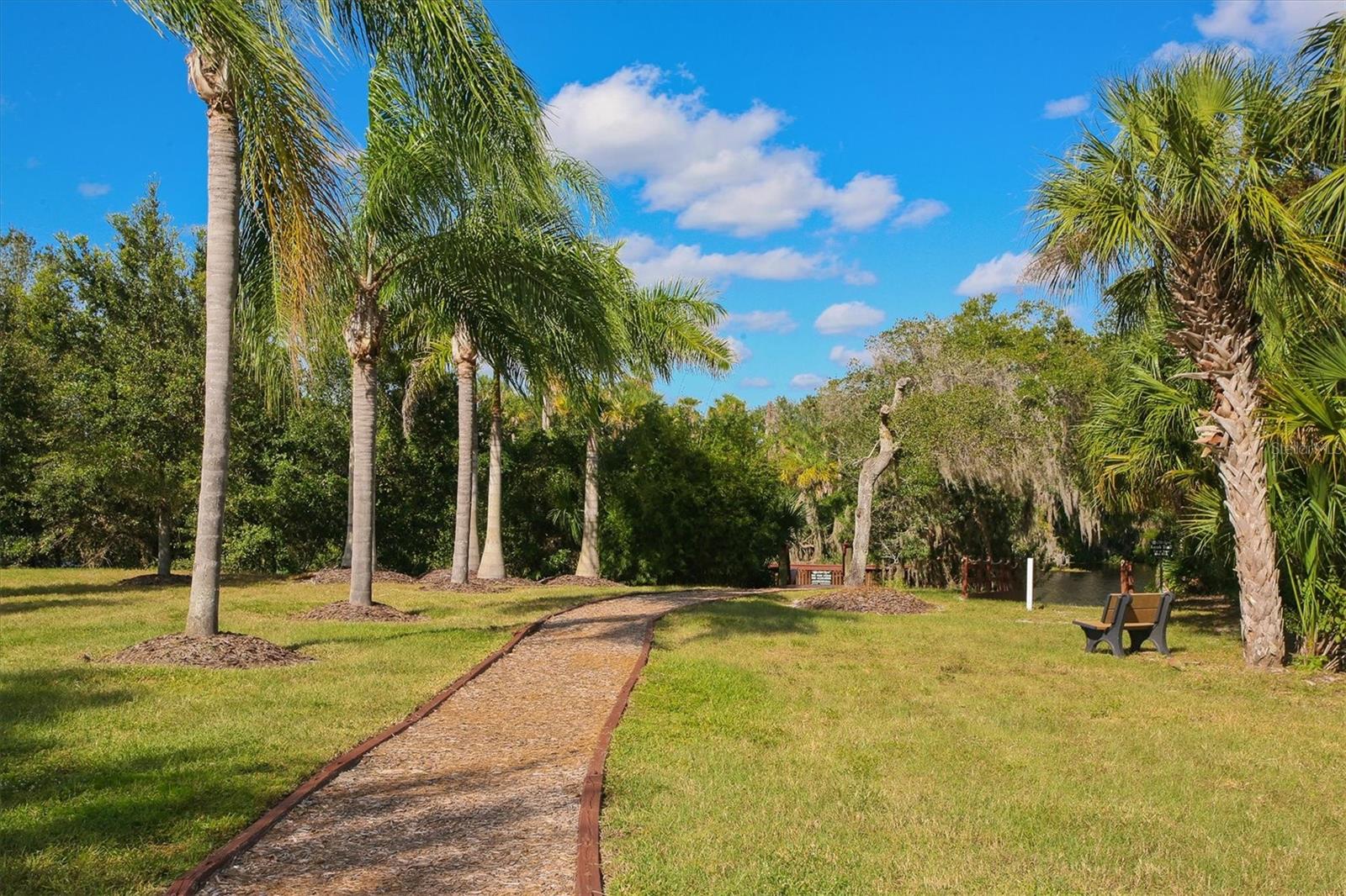 6163 Palomino Cir Property Photo 46