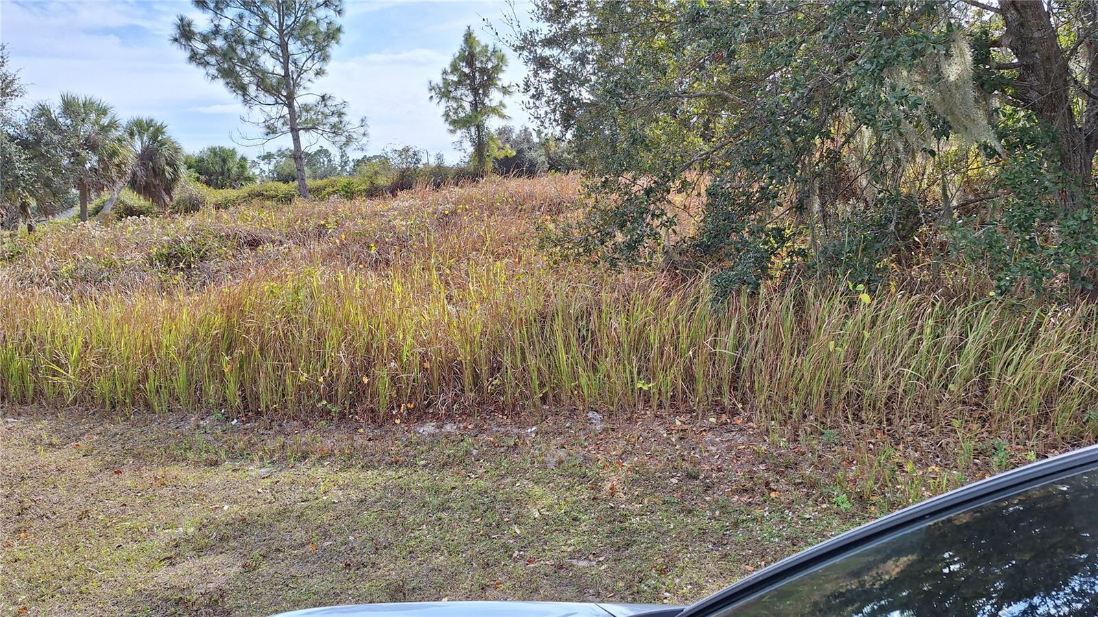 Jaylene Rd Property Photo 2