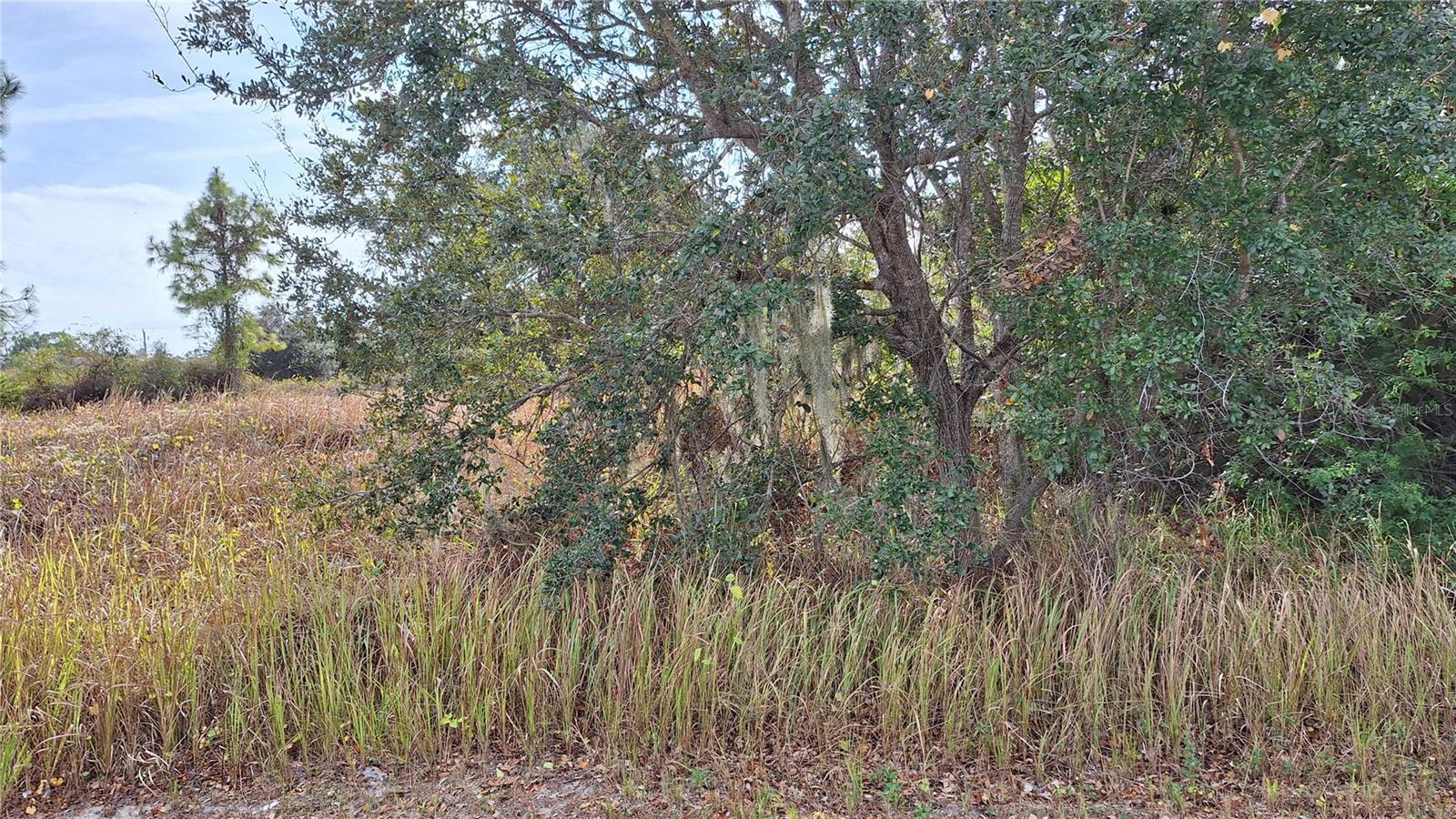 Jaylene Rd Property Photo 3