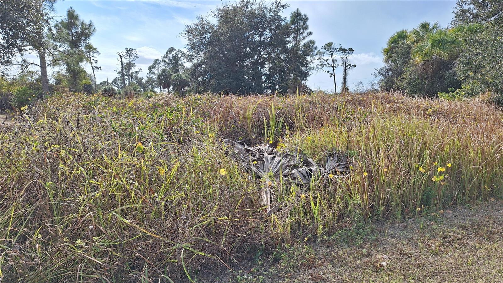 Jaylene Rd Property Photo 4