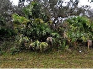 OCARINA RD Property Photo 1