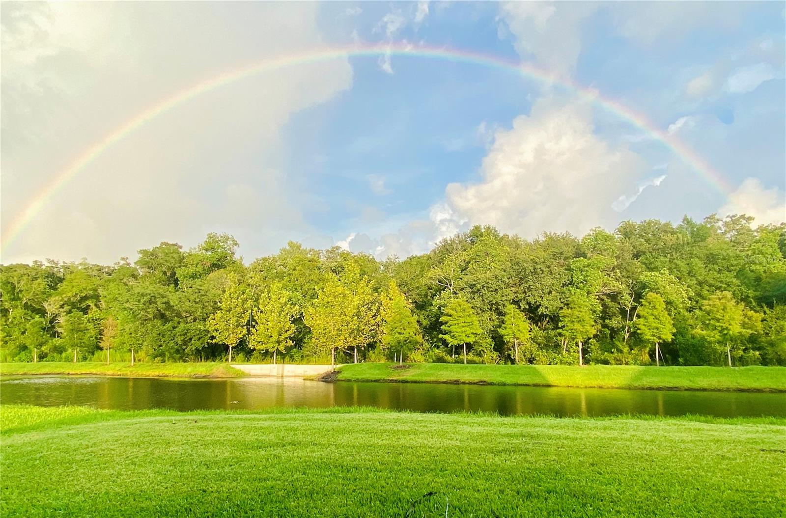 16454 Woodside Gln Property Photo 60