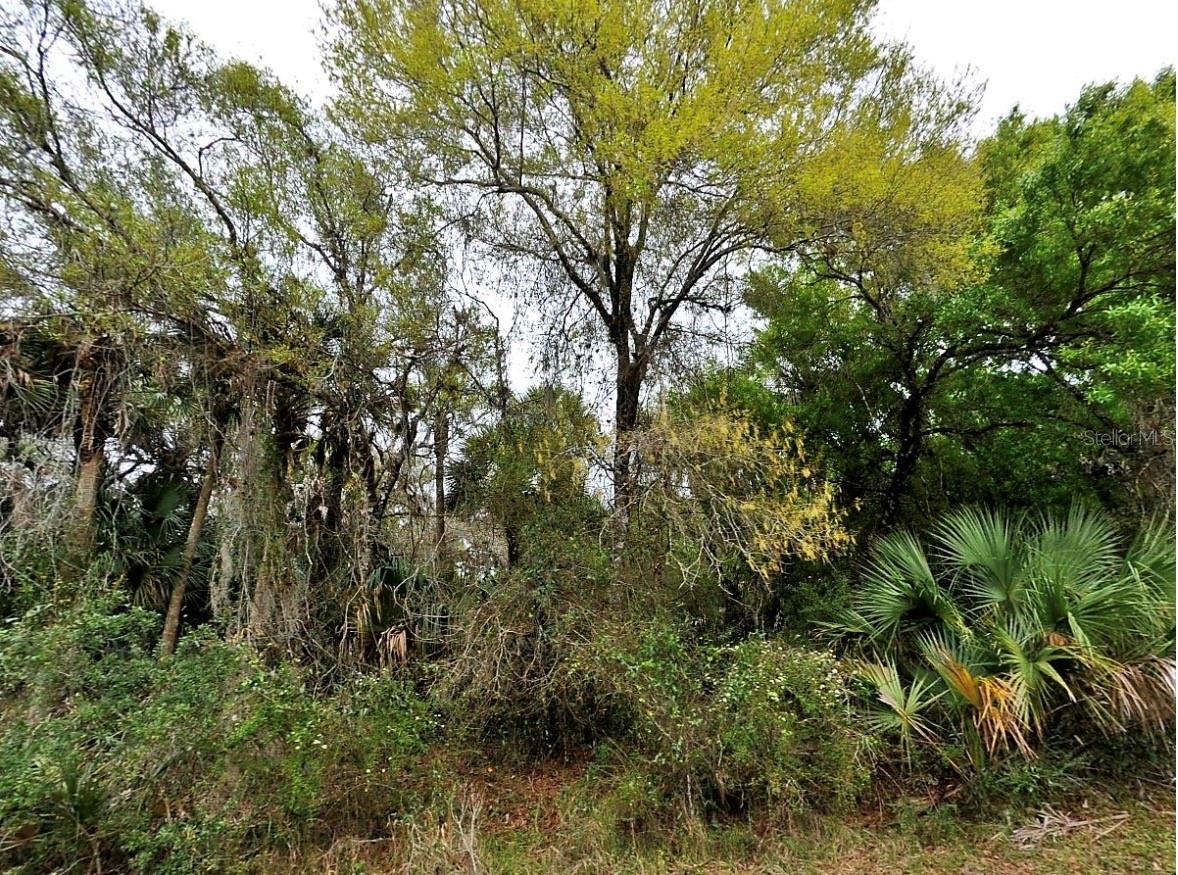 BACKERT RD. Property Photo 1