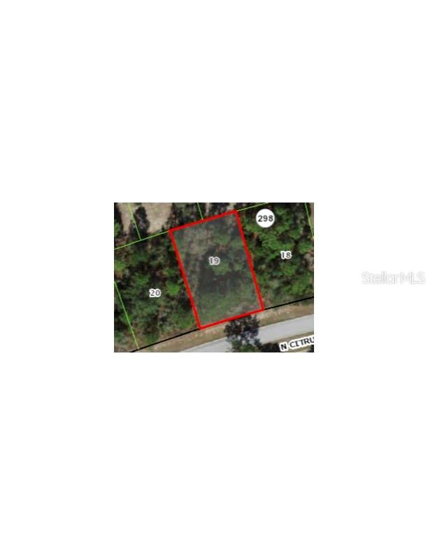 9236 N CITRUS SPRINGS BLVD Property Photo 1