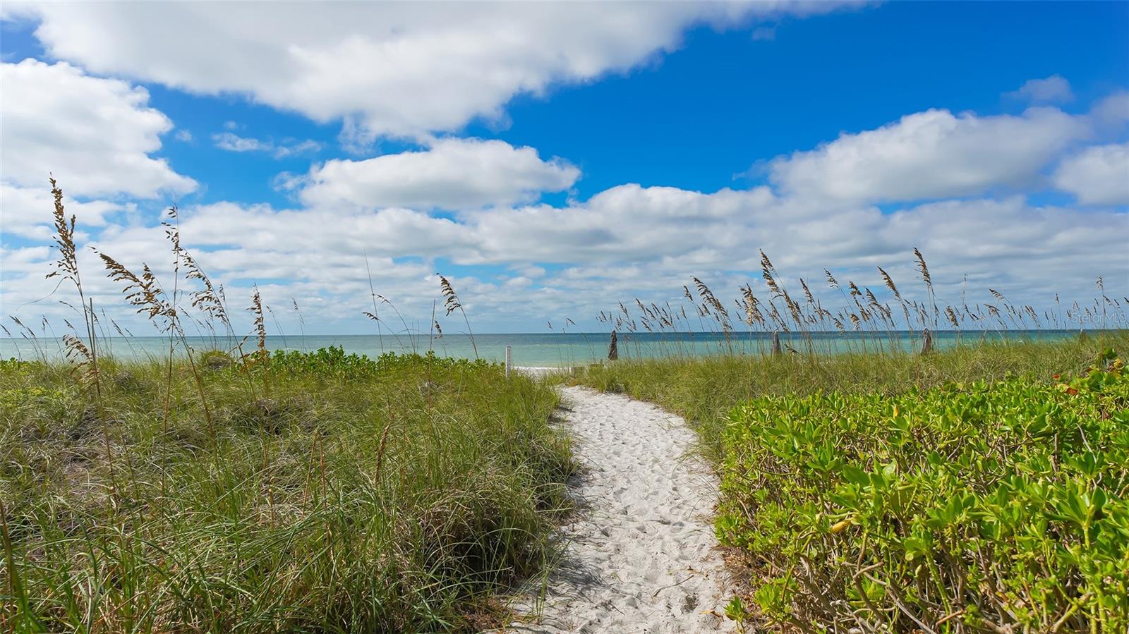 4720 Gulf Of Mexico Dr #villa 2 Property Photo 52