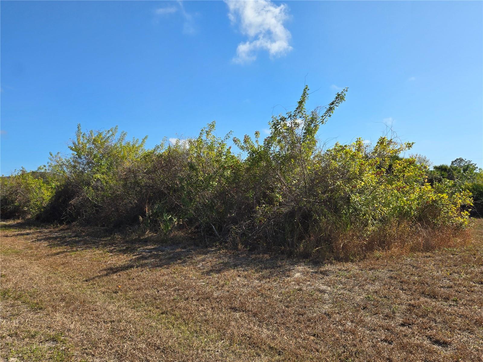 277 BAYTREE DR Property Photo 1