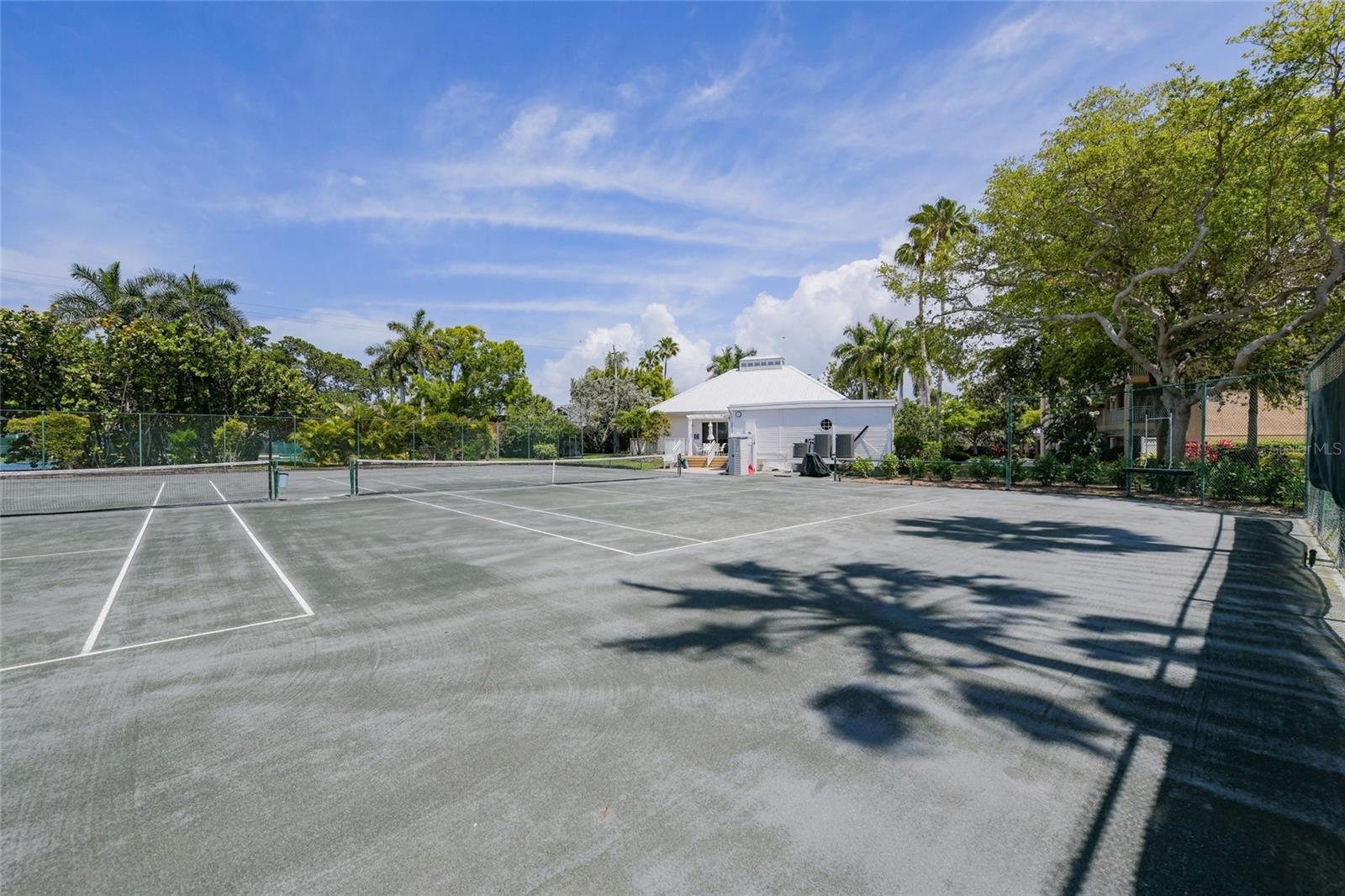 1260 Dolphin Bay Way #403 Property Photo 53