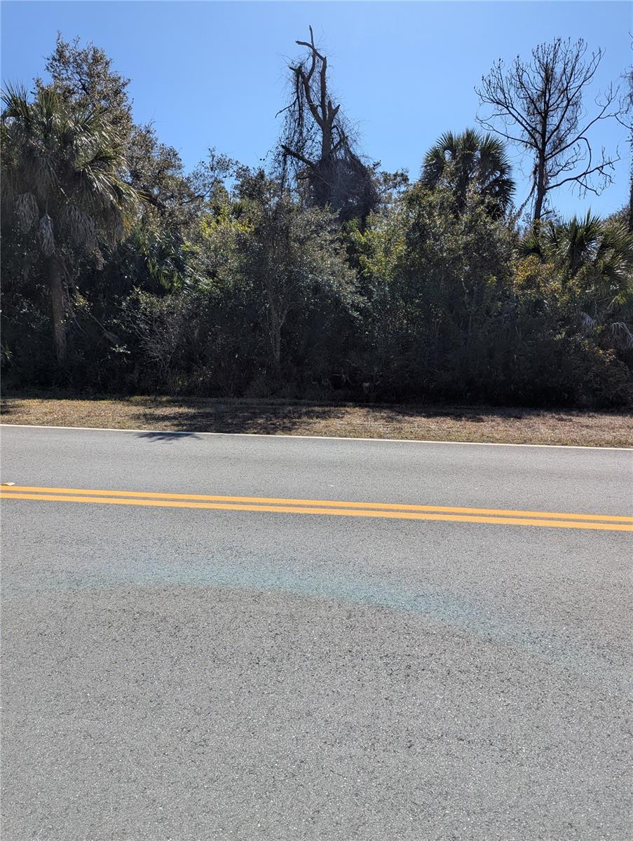 Lots 1,2&3 De Leon Dr Property Photo 1