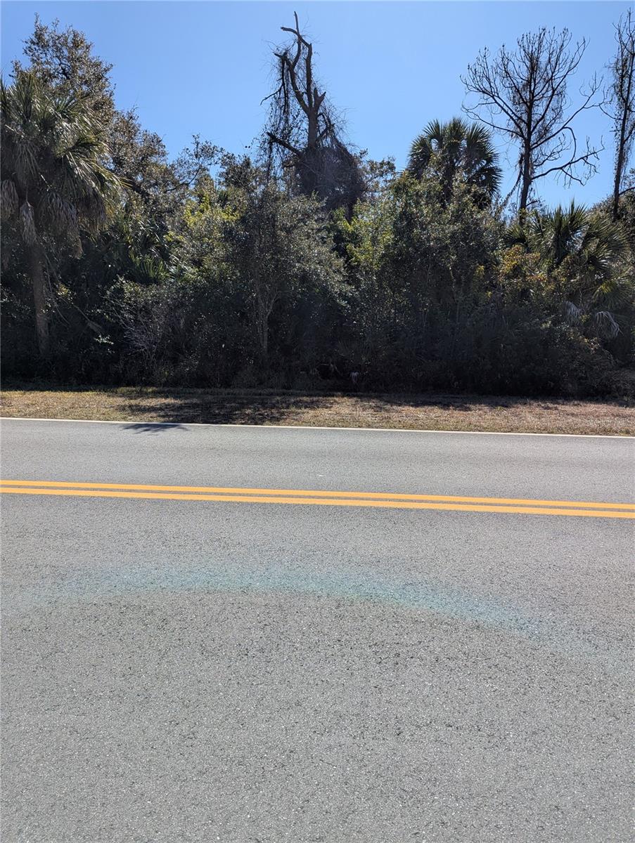 Lots 1,2&3 De Leon Dr Property Photo 2