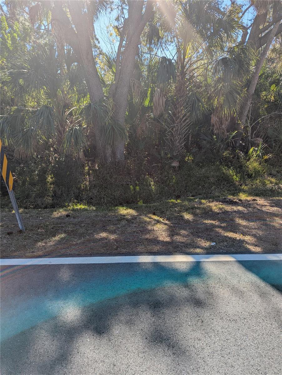 Lots 1,2&3 De Leon Dr Property Photo 8
