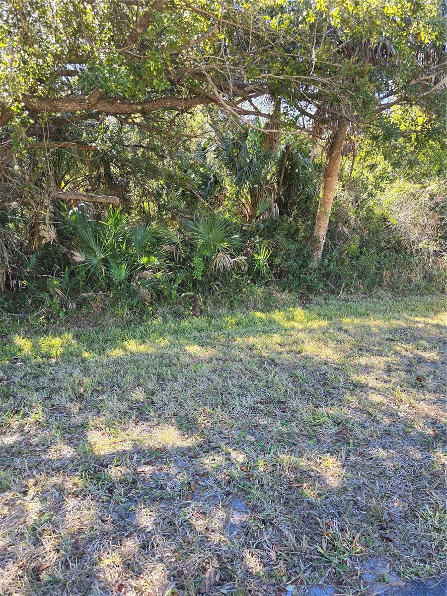 Lots 1,2&3 De Leon Dr Property Photo 10