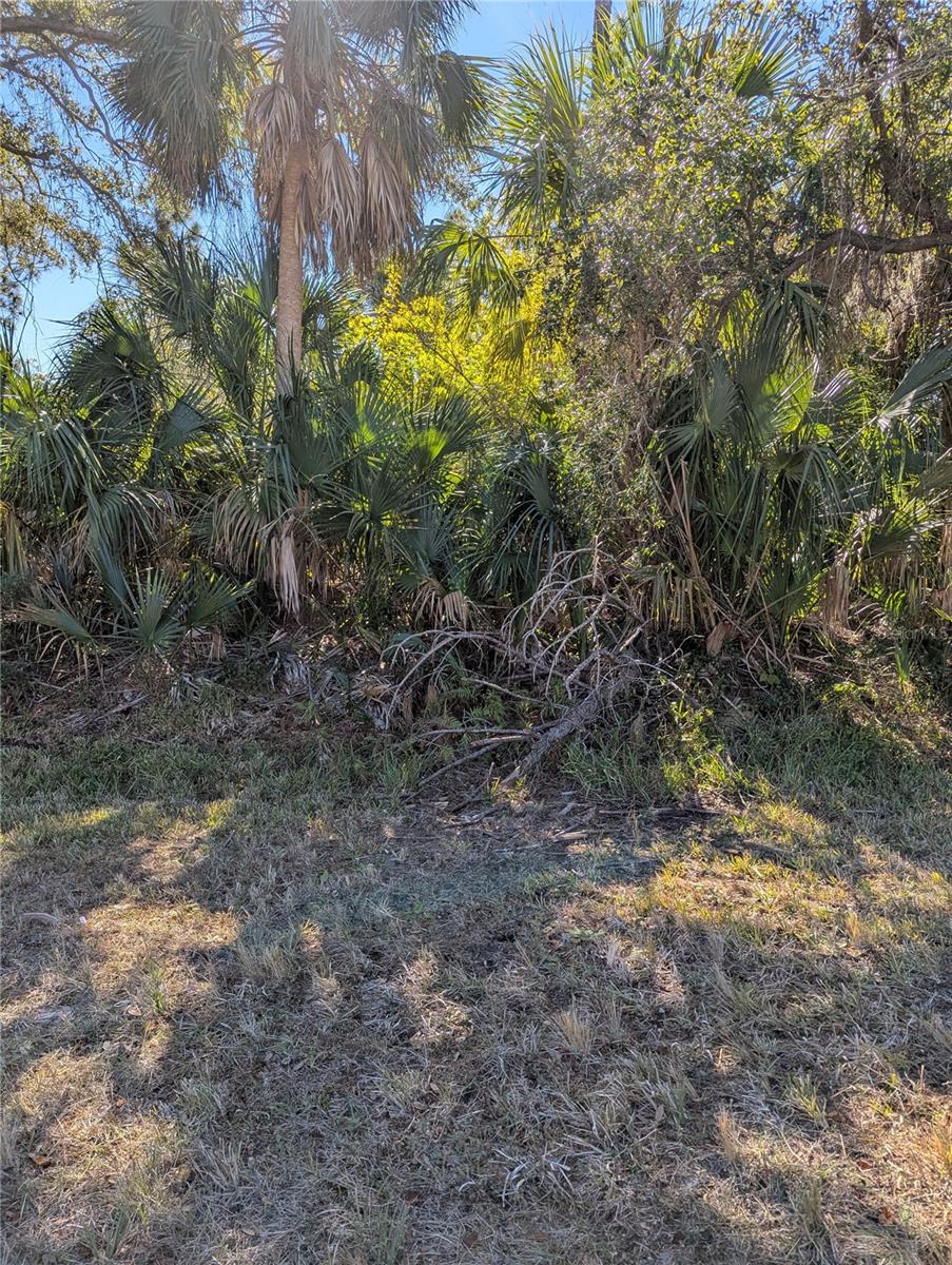 Lots 1,2&3 De Leon Dr Property Photo 11