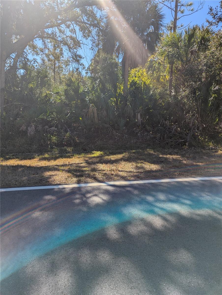 Lots 1,2&3 De Leon Dr Property Photo 12