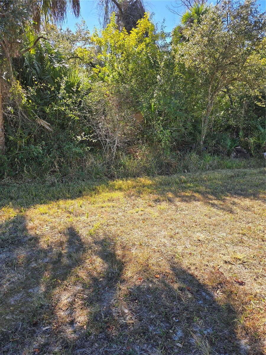 Lots 1,2&3 De Leon Dr Property Photo 13