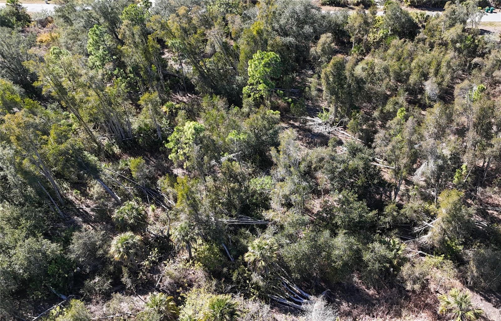 1071 Forrestal St Property Photo 3