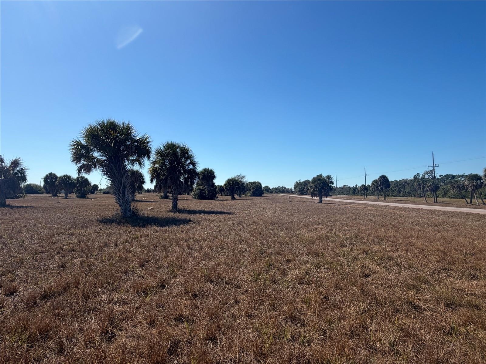 24 Lark Dr Property Photo 2