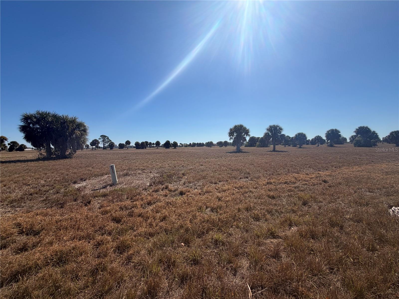 24 Lark Dr Property Photo 6