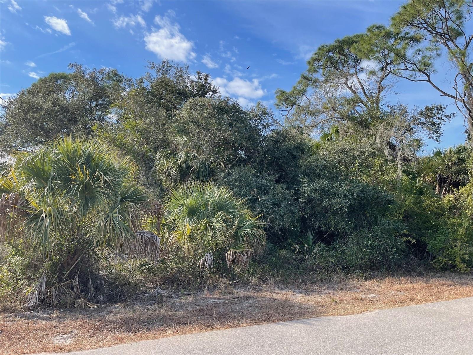 Abate Ave #lot 10 Property Photo 1