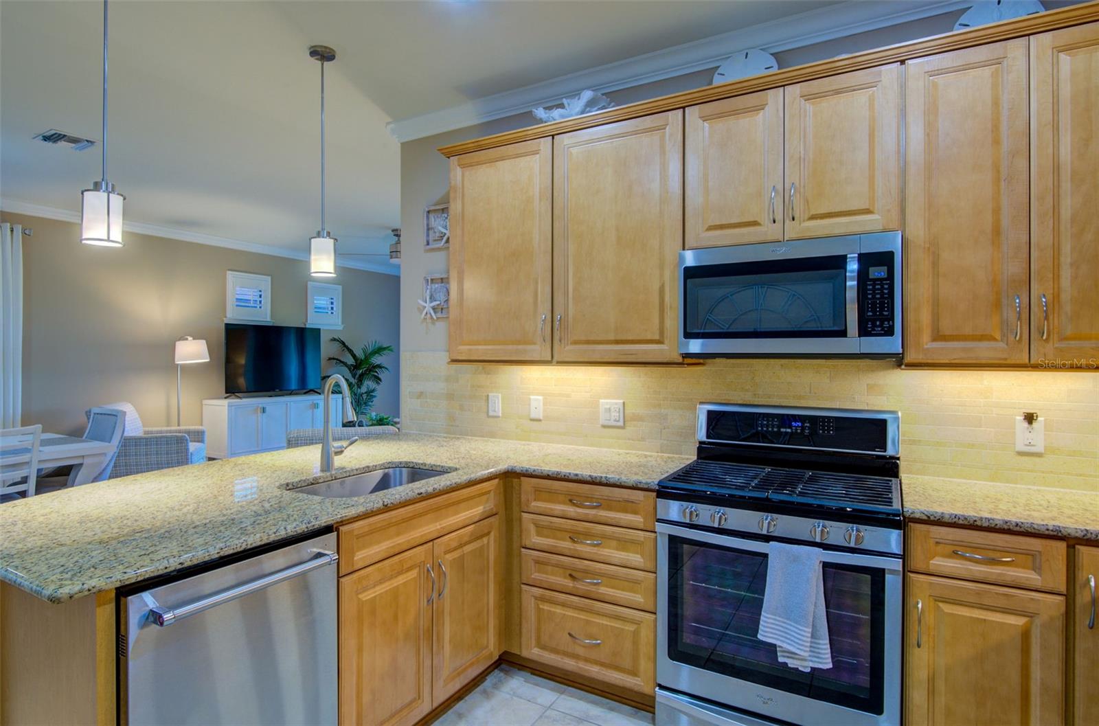 12232 Marsh Pointe Rd Property Photo 10