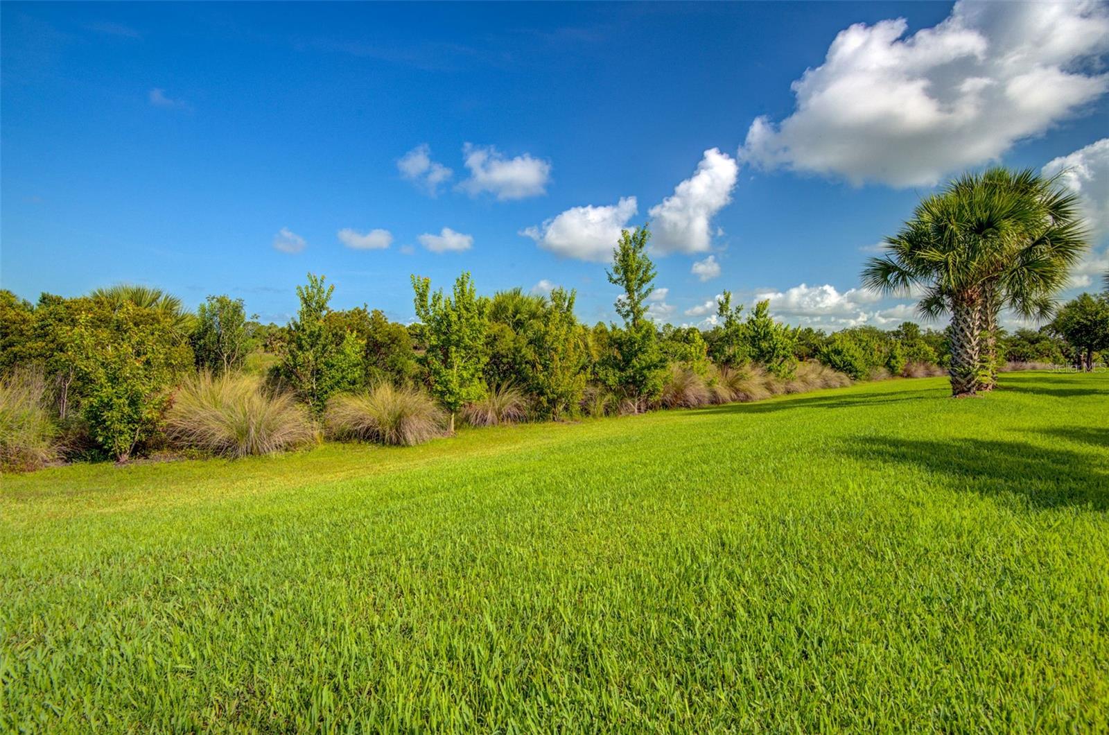 12232 Marsh Pointe Rd Property Photo 41