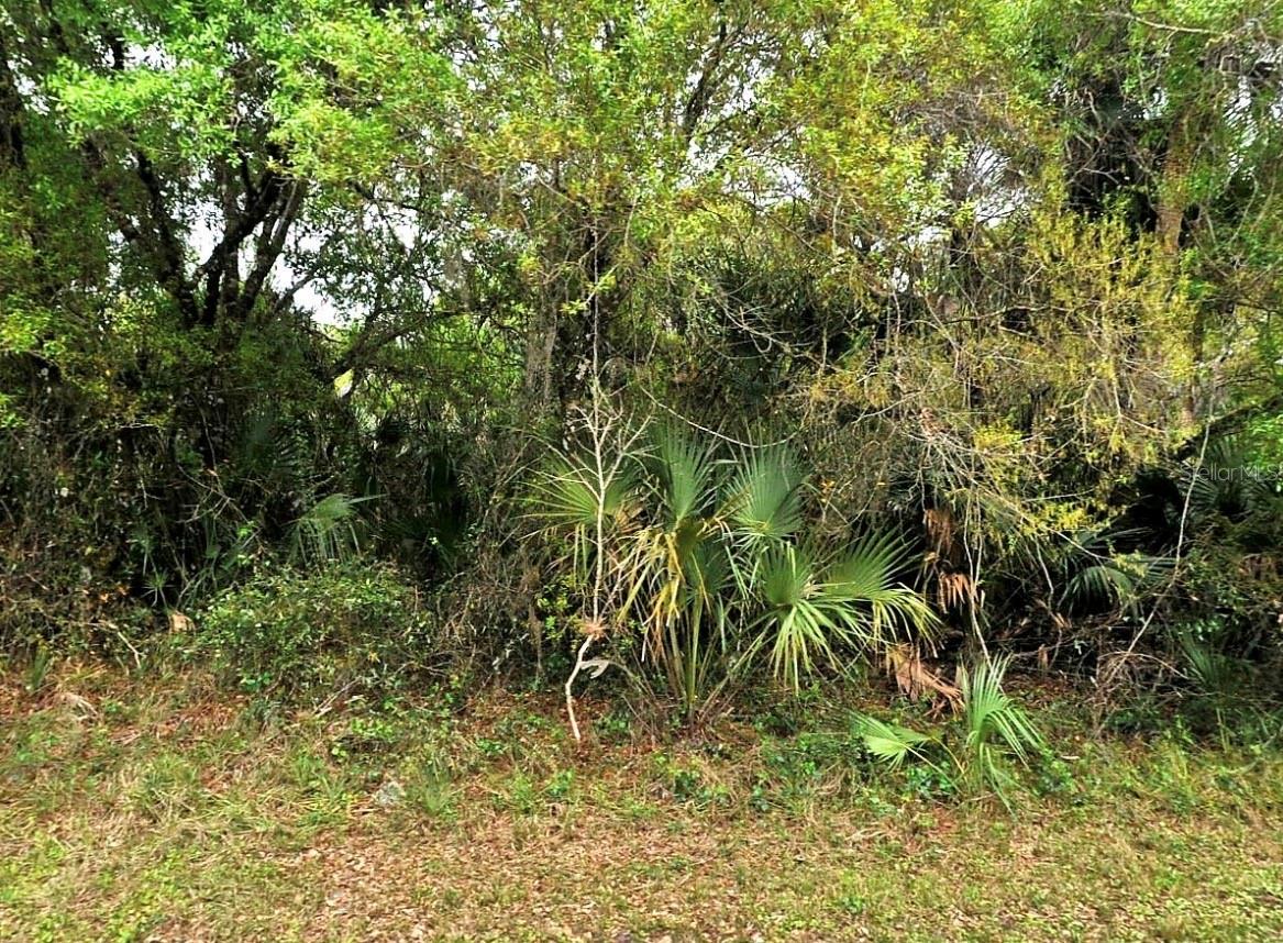 Backert Rd. Property Photo 1
