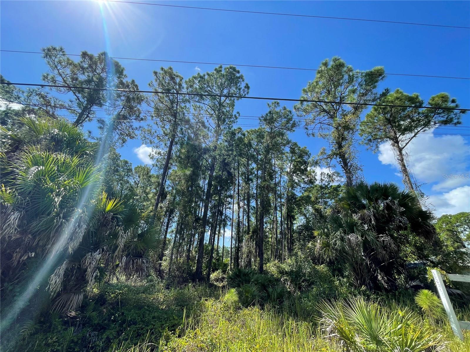 NOPPENBERG AVE #LOT 30 Property Photo 1