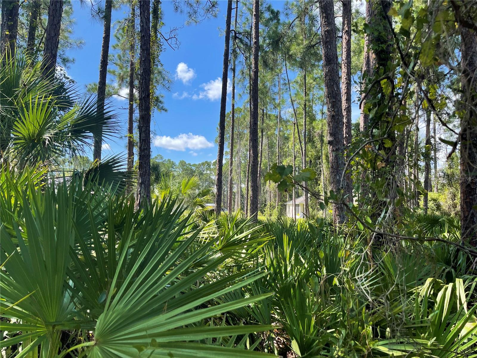 Noppenberg Ave #lot 30 Property Photo 2