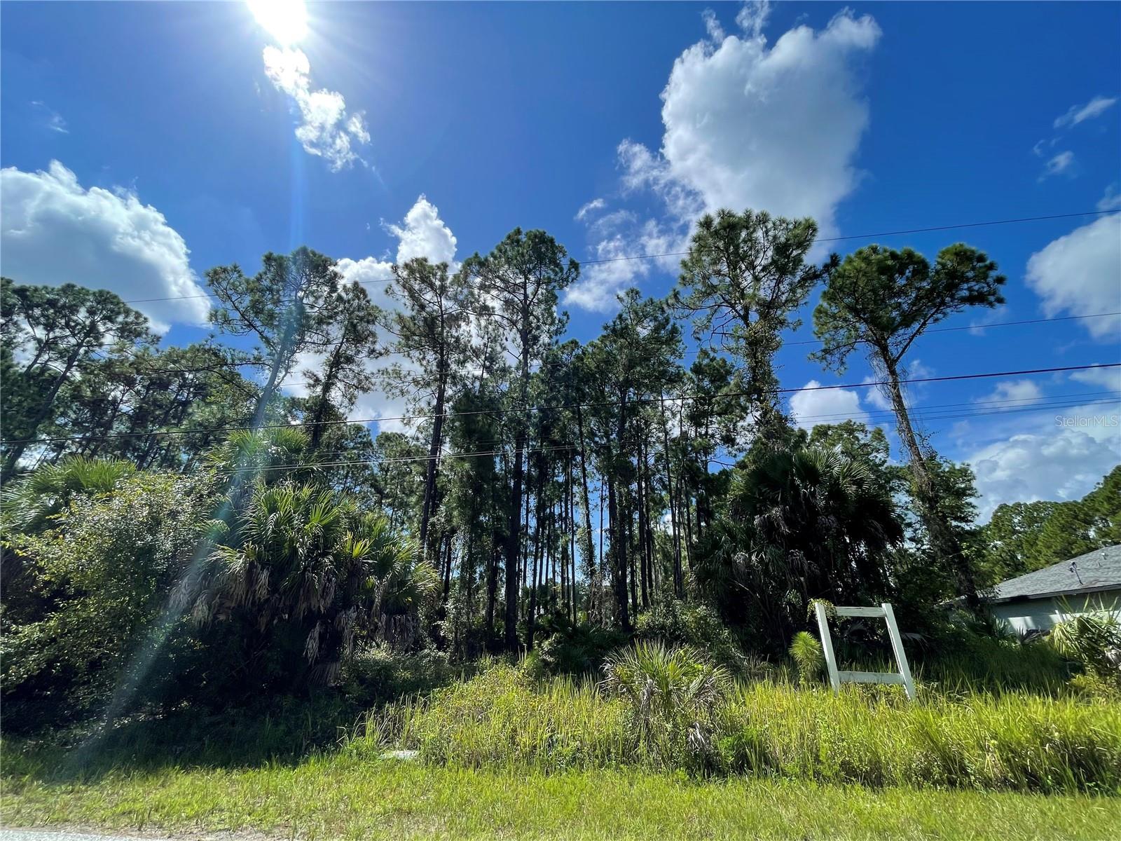Noppenberg Ave #lot 30 Property Photo 3