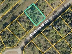 Blackwood Cir Property Photo