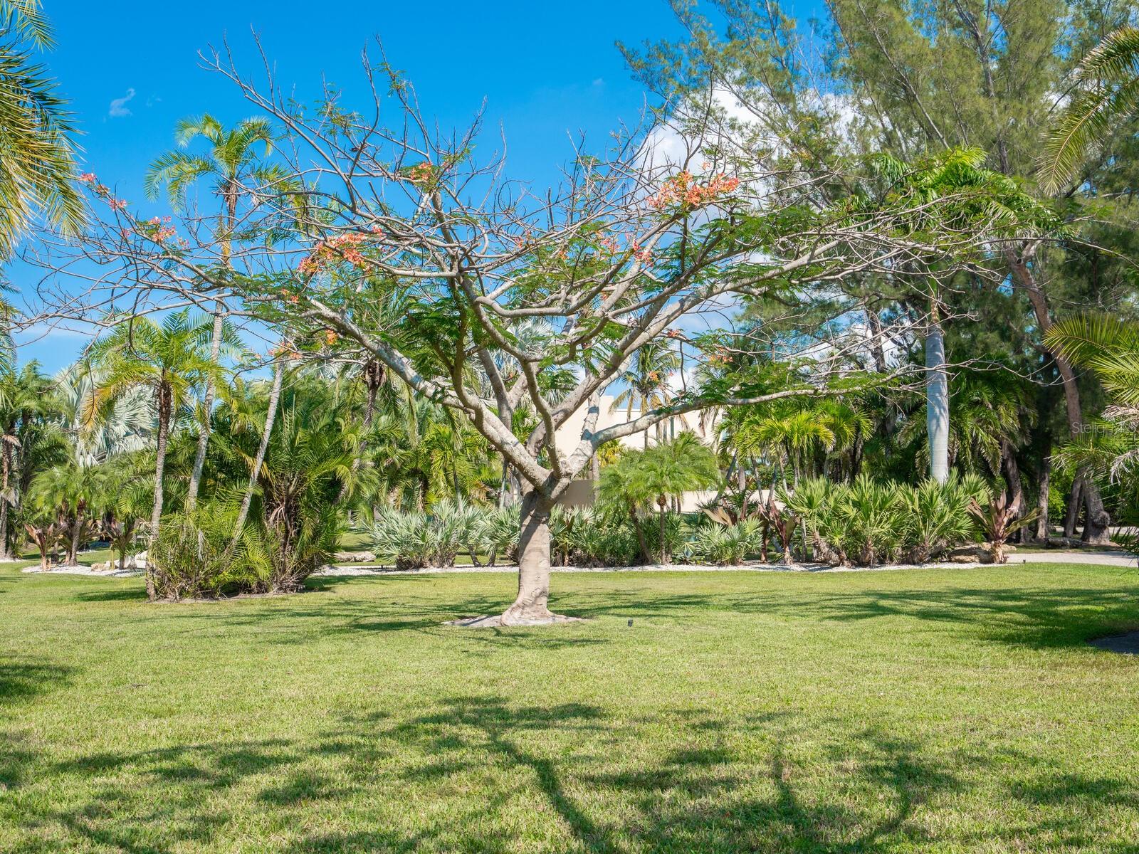 6610 Gulf Of Mexico Dr Property Photo 66