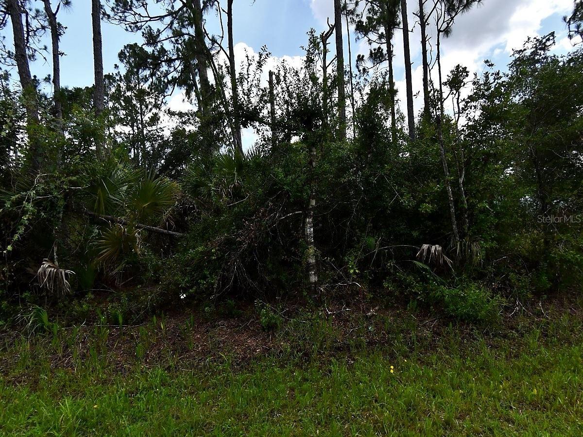 Hackley Rd Property Photo 5