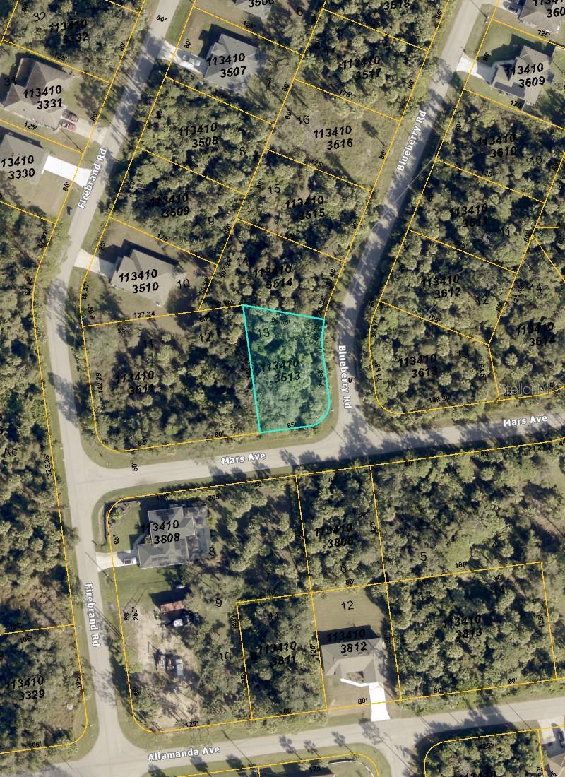 Blueberry Rd Property Photo 3