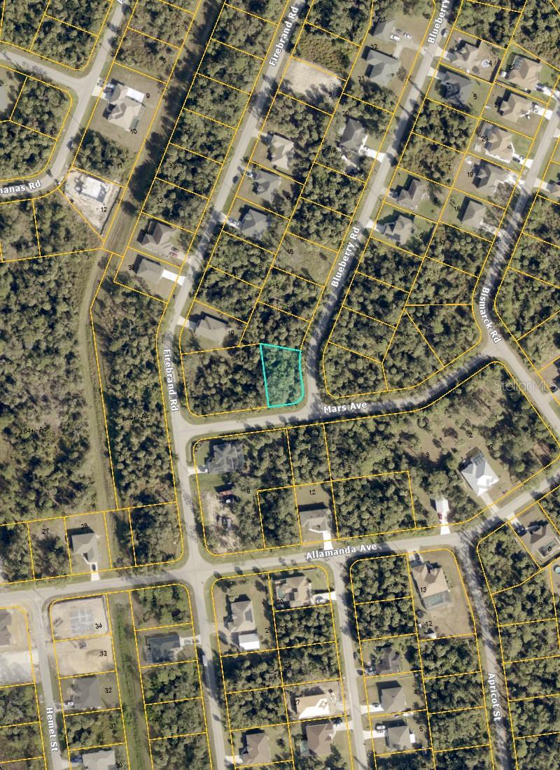 Blueberry Rd Property Photo 4