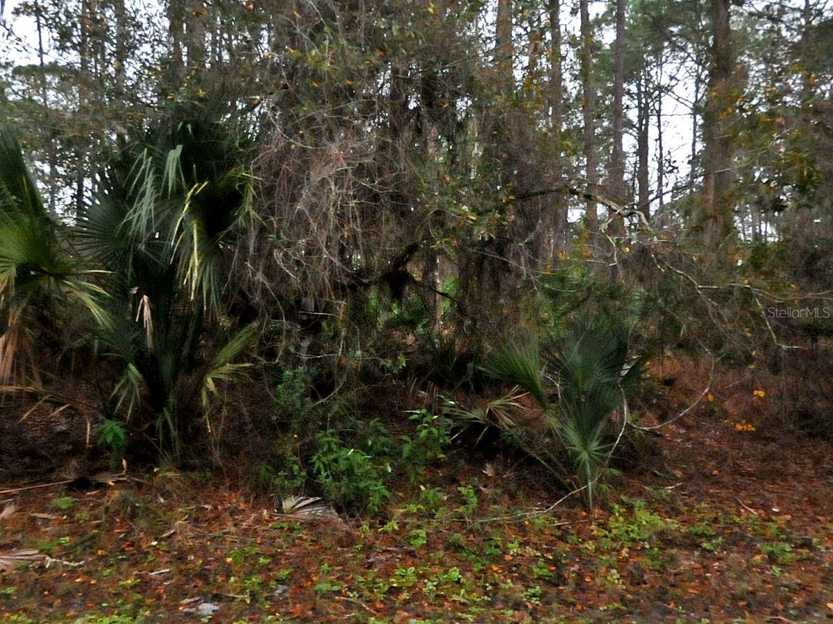 NEON AVE Property Photo 1