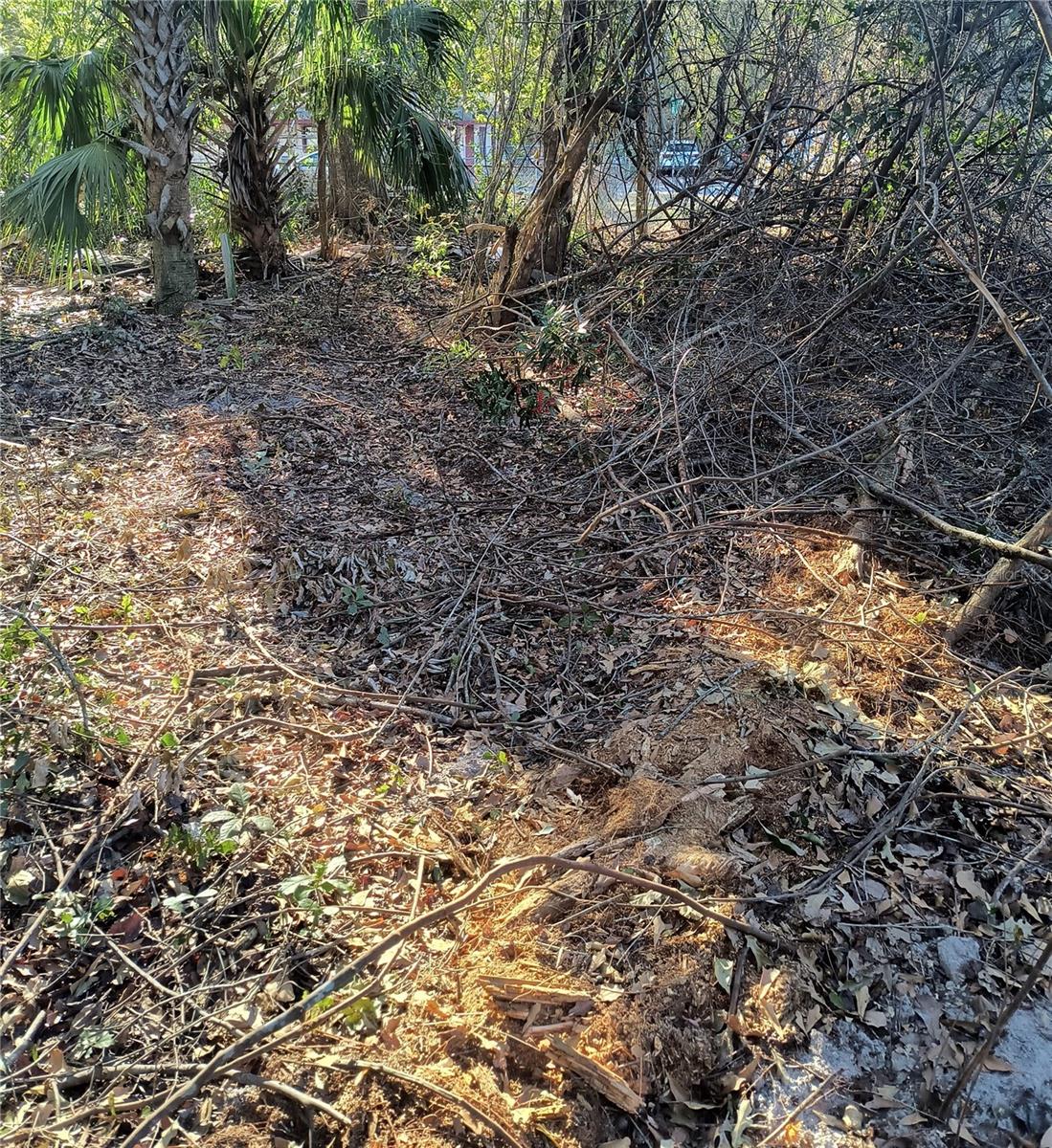1929 Ne 7th Pl Property Photo 14