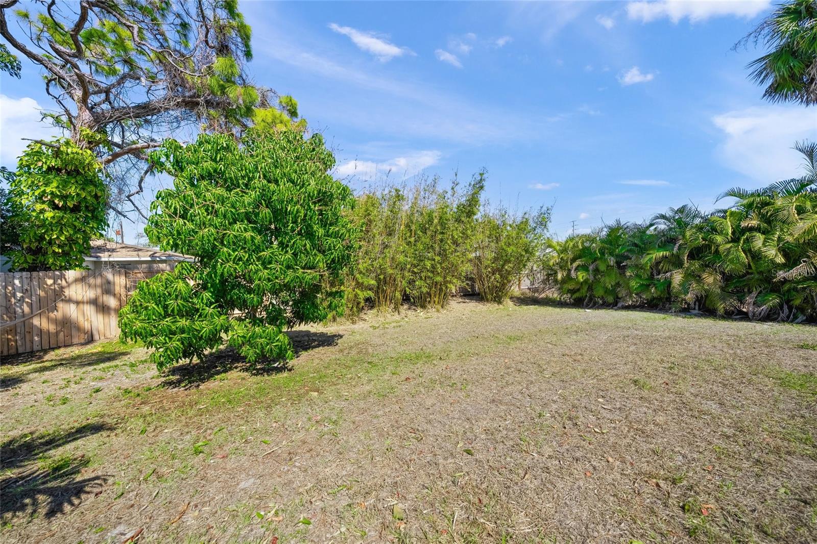 116 Avenida La Palma Property Photo 34
