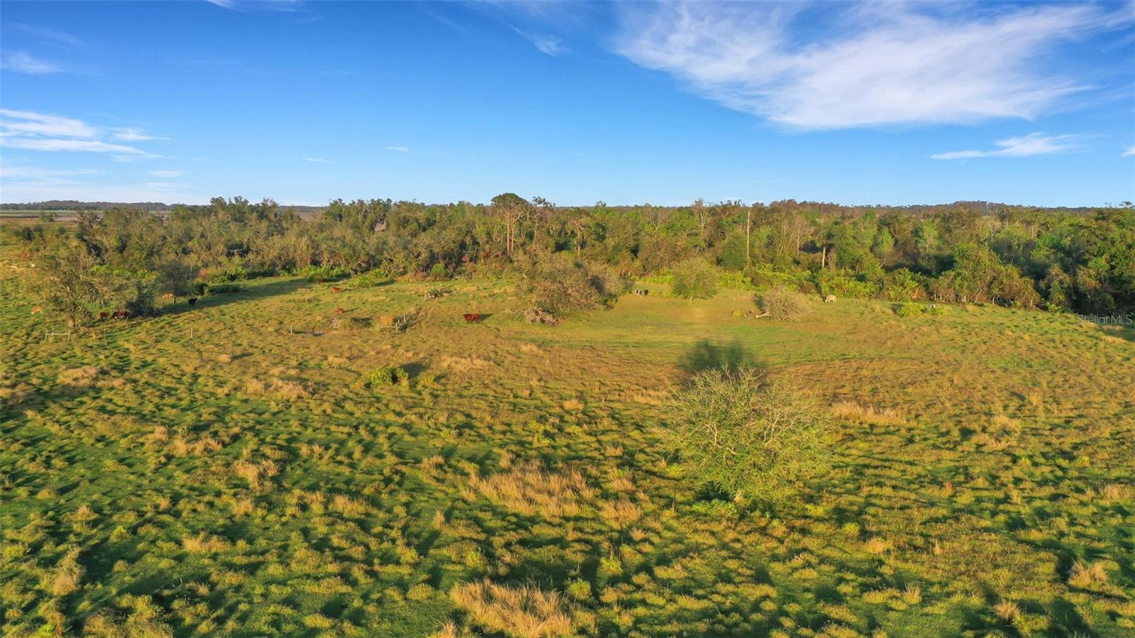 A4682417 Property Photo 6