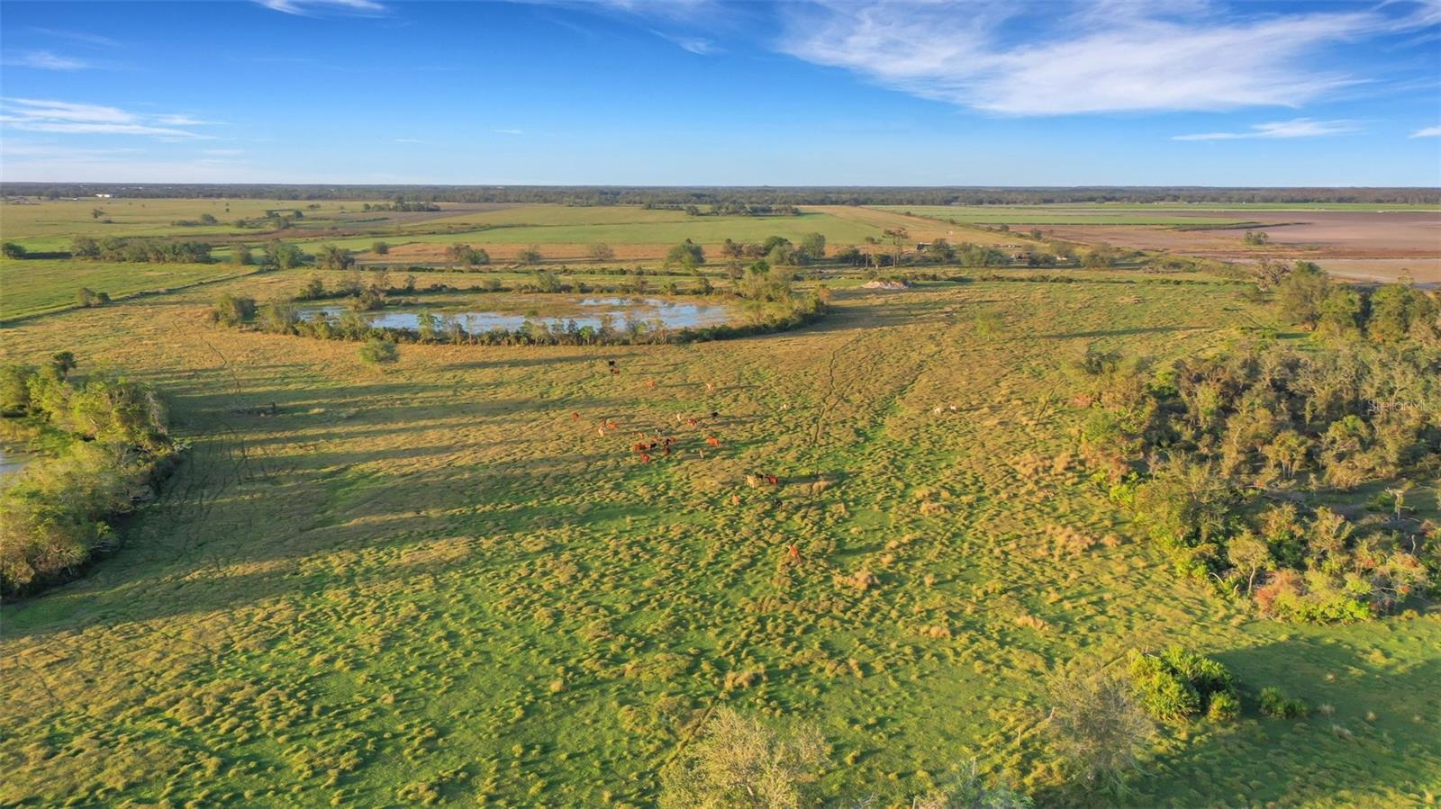 A4682417 Property Photo 7