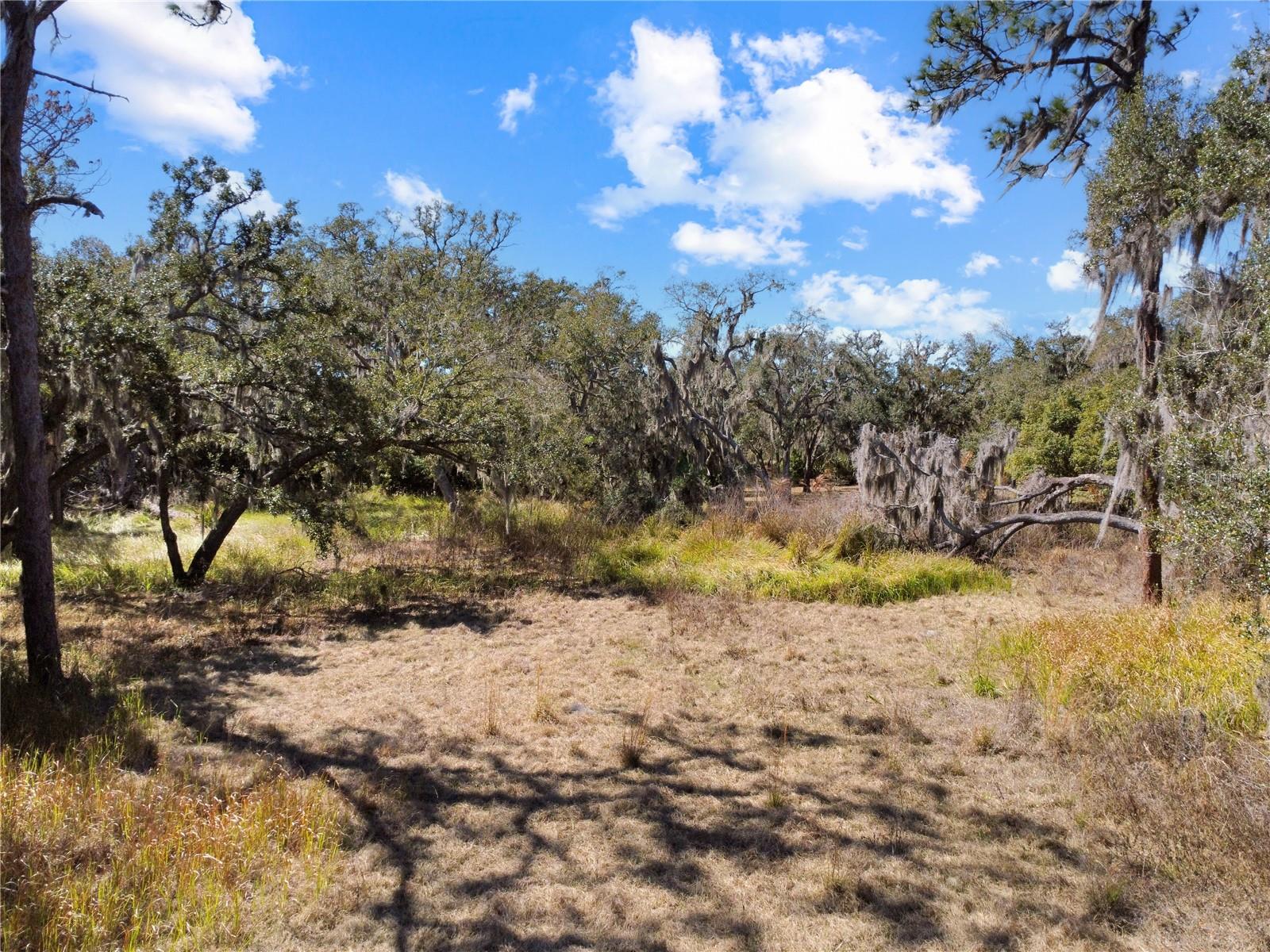 12111 Fred Dr Property Photo 1