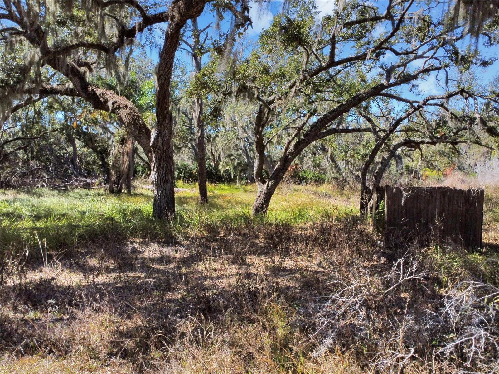 12111 Fred Dr Property Photo 4