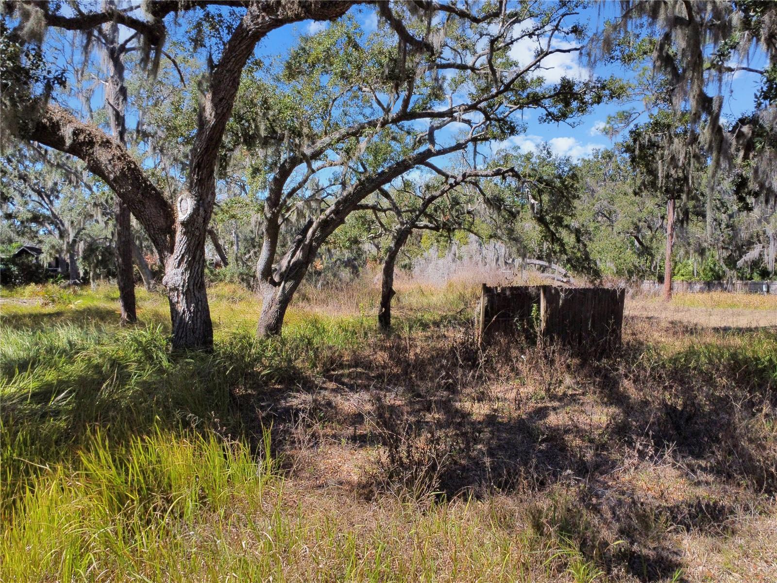 12111 Fred Dr Property Photo 5