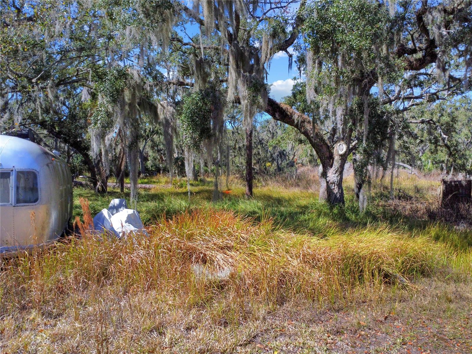 12111 Fred Dr Property Photo 6