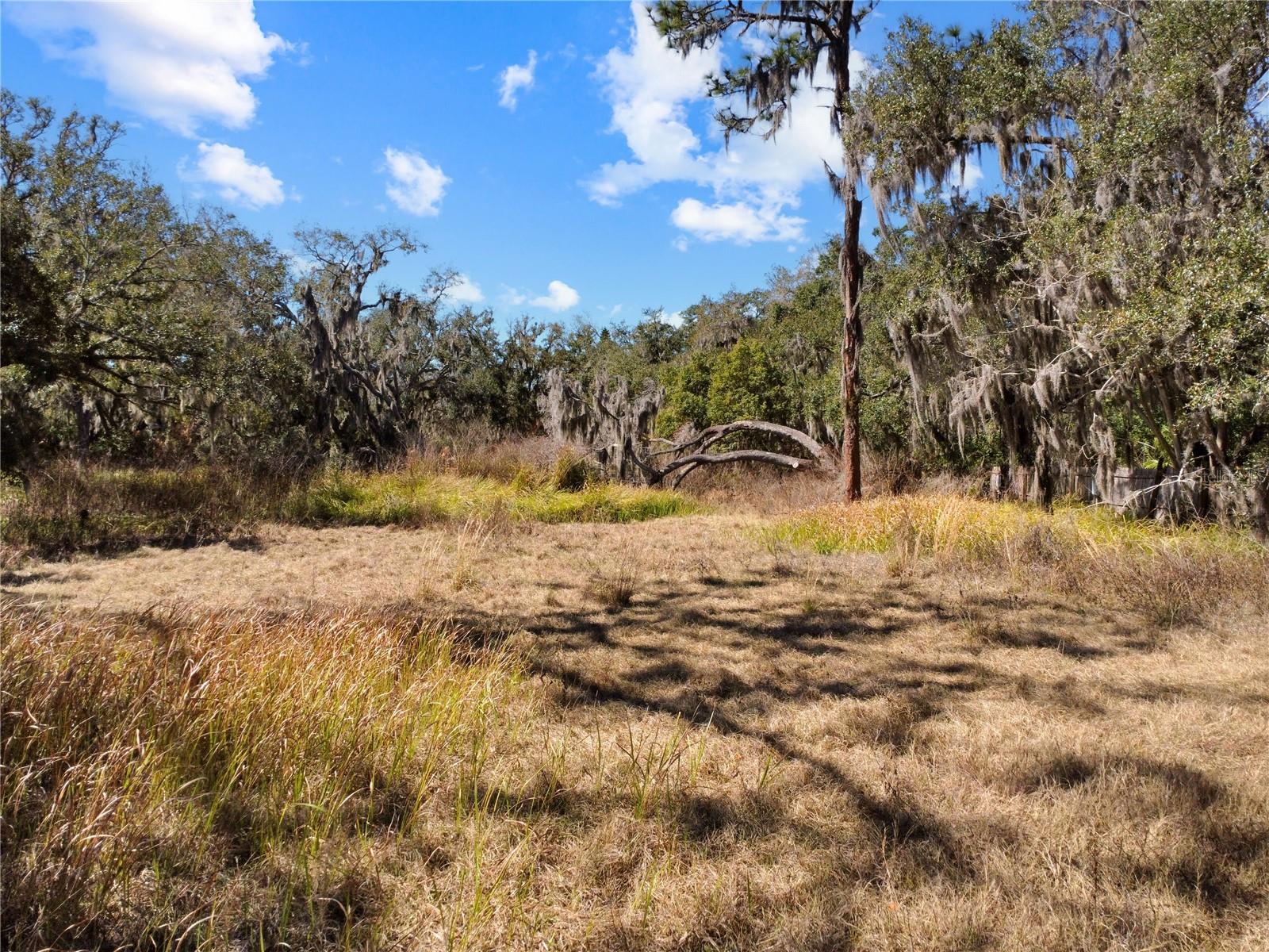12111 Fred Dr Property Photo 7