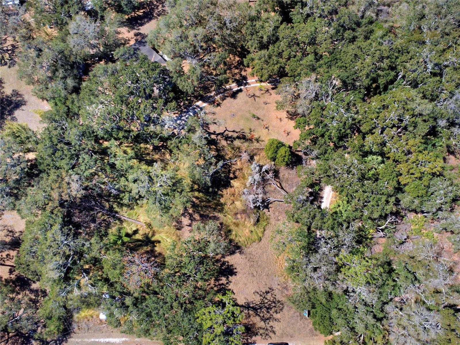 12111 Fred Dr Property Photo 9
