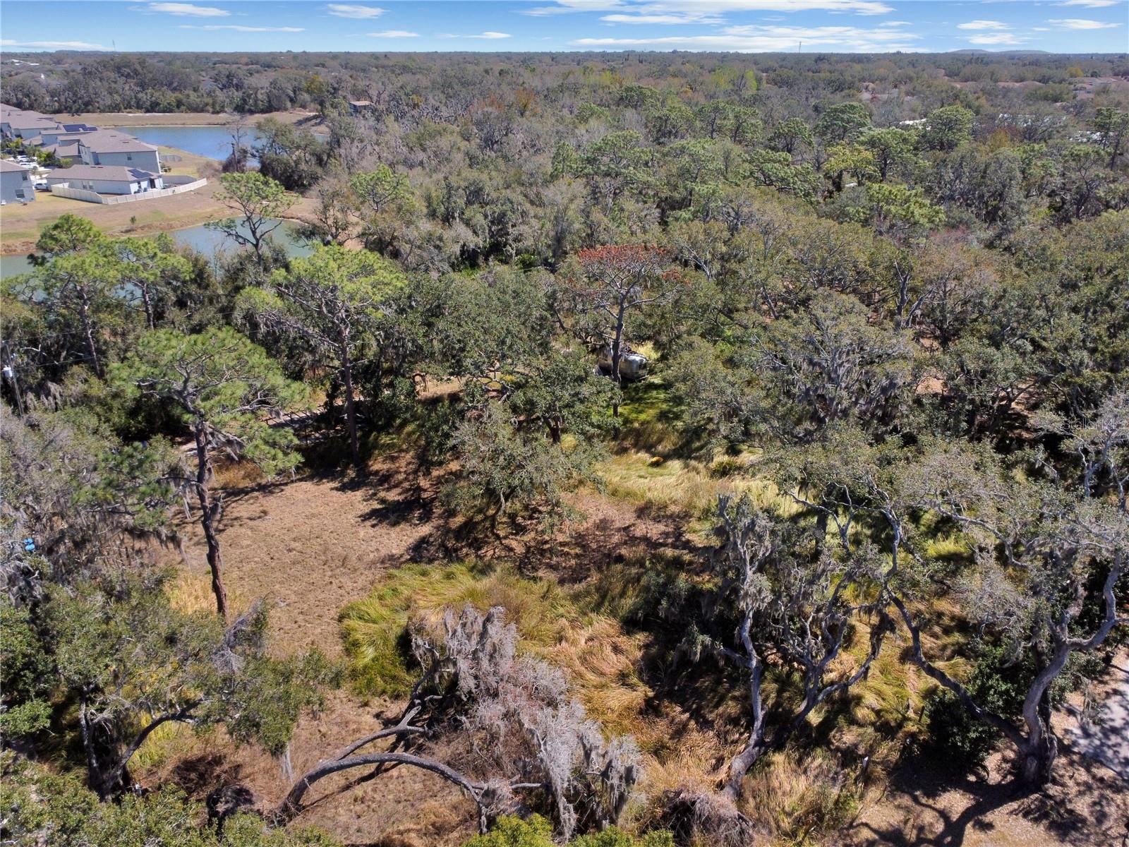 12111 Fred Dr Property Photo 11