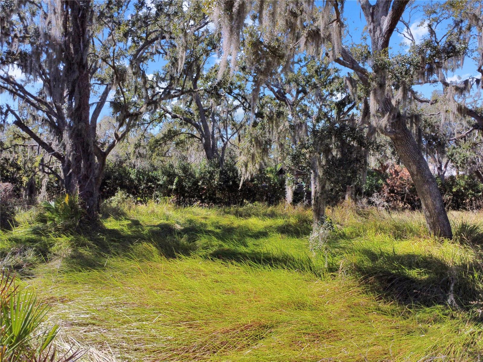 12111 Fred Dr Property Photo 15