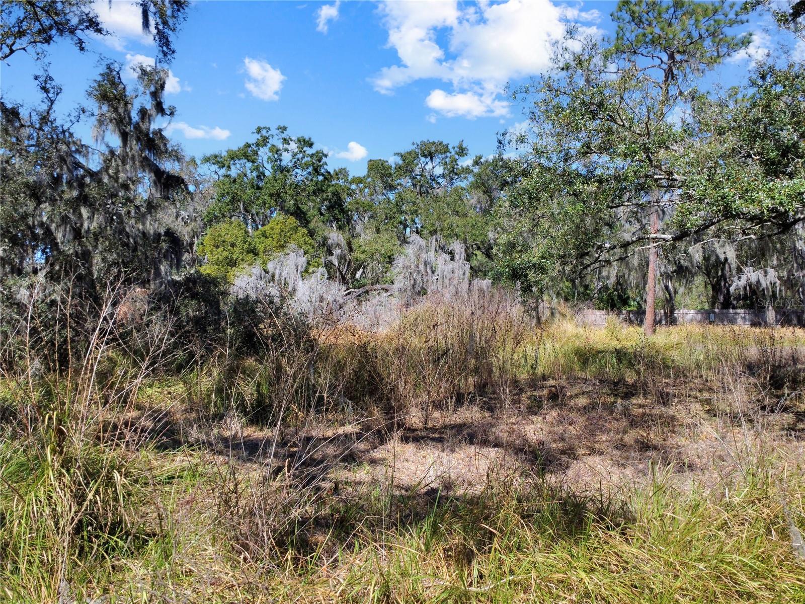 12111 Fred Dr Property Photo 16